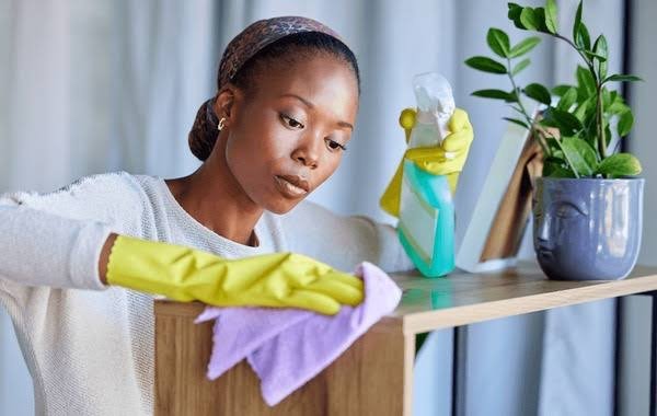 Furnished Apartment - Full Home Cleaning